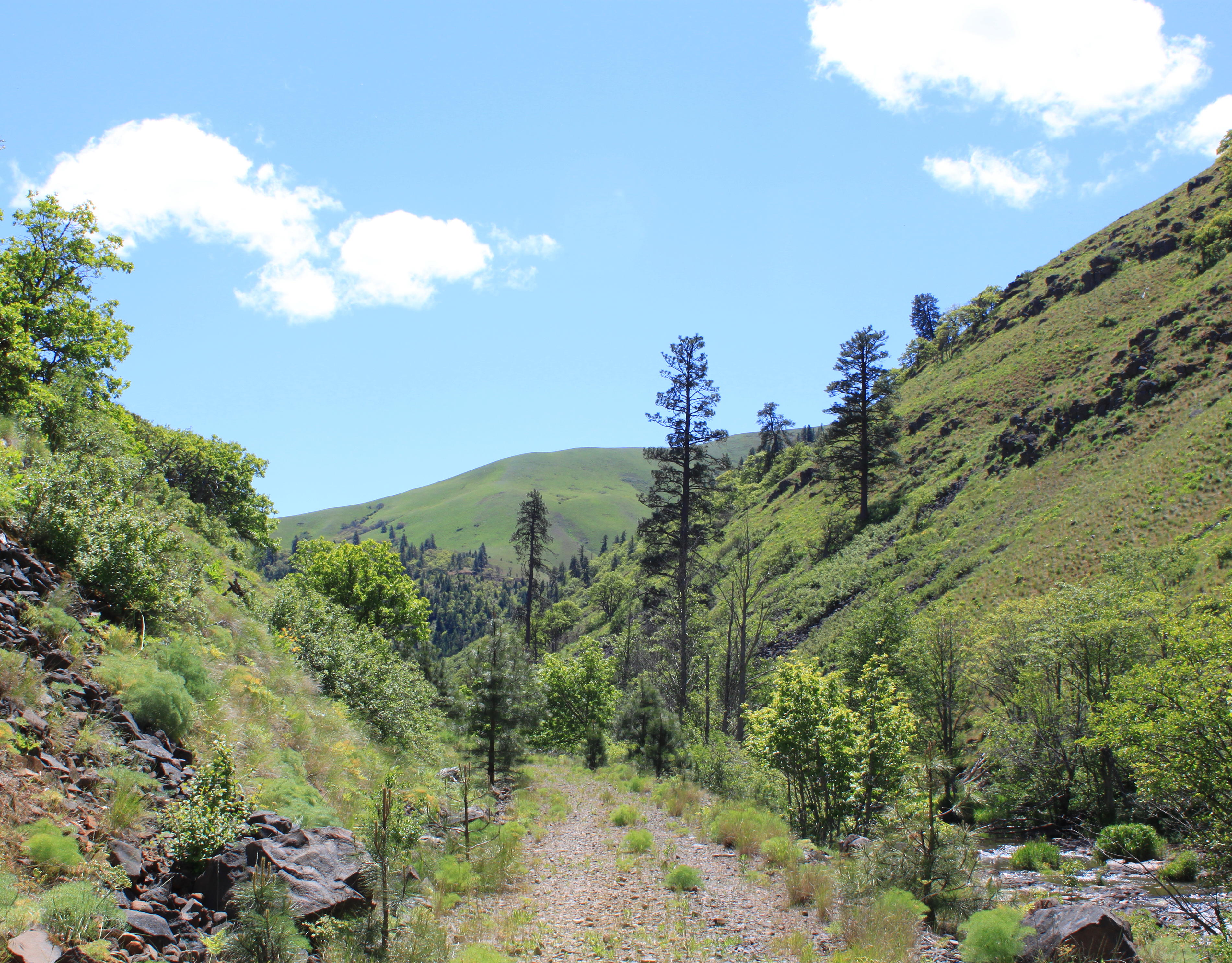 heavenly hike